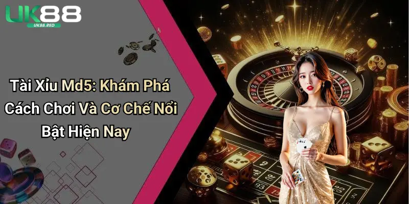 Tài Xỉu Md5: Khám Phá Cách Chơi Và Cơ Chế Nổi Bật Hiện Nay